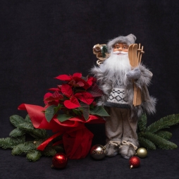 Aranjament Set cu jucarie Mos Craciun si Poinsettia in ghiveci (Craciunita) photo