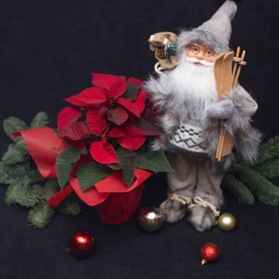 Moș Crăciun și Poinsettia photo