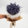 Lavender Bouquet in Craft Paper