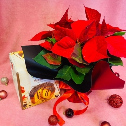 Craciunita cu Cozonac photo