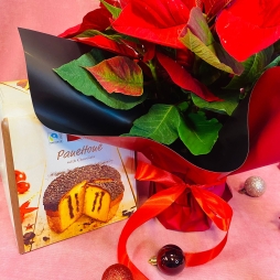 Craciunita cu Cozonac photo