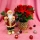 Christmas gift - Poinsettia in Golden Ceramic Pot and Santa Claus