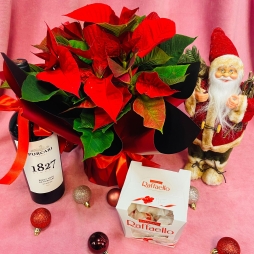 Cadou cu Craciunita, Mos Craciun, Vin si Bomboane photo