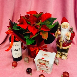 Cadou cu Craciunita, Mos Craciun, Vin si Bomboane photo