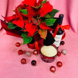 Craciunita, Vin si Lumanare Parfumata photo