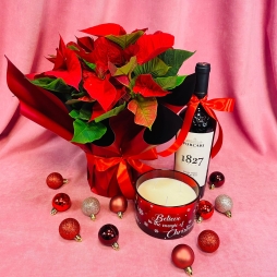 Craciunita, Vin si Lumanare Parfumata photo