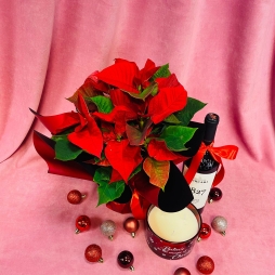 Craciunita, Vin si Lumanare Parfumata photo