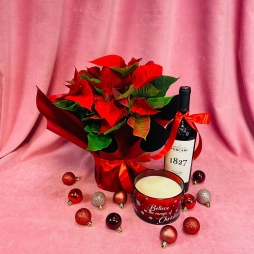 Craciunita, Vin si Lumanare Parfumata photo