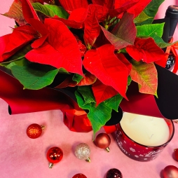 Craciunita, Vin si Lumanare Parfumata photo