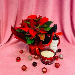 Craciunita, Vin si Lumanare Parfumata photo