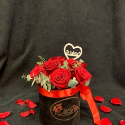 Cutie de Catifea cu 9 Trandafiri Rosii si Eucalipt alt vedere product 3