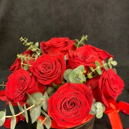 Cutie de Catifea cu 9 Trandafiri Rosii si Eucalipt alt vedere product 5