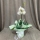 White Orchid with 1 Stem h60cm