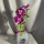 Arrangement of Bamboo and Orchids in a Vase
